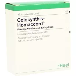 COLOCYNTHIS HOMACCORD Ampullen, 10 St