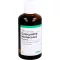 COLOCYNTHIS HOMACCORD Tropfen, 100 ml