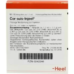 COR SUIS Injeel Ampullen, 10 St