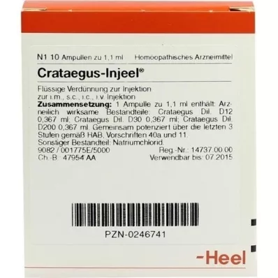 CRATAEGUS INJEEL Ampullen, 10 St