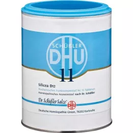 BIOCHEMIE DHU 11 Silicea D 12 Tabletten, 1000 St