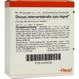 DISCUS INTERVERTEBRALIS suis Injeel Ampullen, 10 St