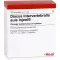 DISCUS INTERVERTEBRALIS suis Injeel Ampullen, 10 St