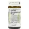 FERRUM PHOSPHORICUM S Phcp Globuli, 20 g