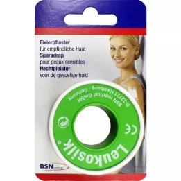 LEUKOSILK 2,5 cmx5 m Blisterkarte, 1 St
