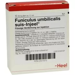 FUNICULUS UMBILICALIS suis Injeel Ampullen, 10 St