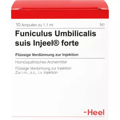 FUNICULUS UMBILICALIS suis Injeel forte Ampullen, 10 St