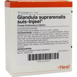 GLANDULA SUPRARENALIS suis Injeel Ampullen, 10 St