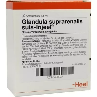 GLANDULA SUPRARENALIS suis Injeel Ampullen, 10 St