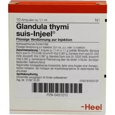 GLANDULA THYMI suis Injeel Ampullen, 10 St