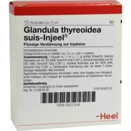 GLANDULA THYREOIDEA suis Injeel Ampullen, 10 St