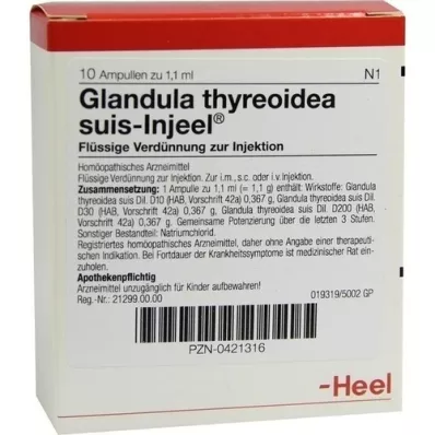 GLANDULA THYREOIDEA suis Injeel Ampullen, 10 St