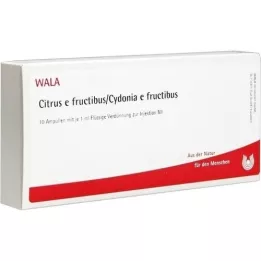 CITRUS E FRUCTIBUS/Cydonia e fructibus Ampullen, 10X1 ml