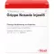 GRIPPE NOSODE Injeel Ampullen, 10 St