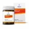 NAUSYN Tabletten, 100 St