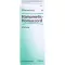 HAMAMELIS HOMACCORD Tropfen, 30 ml