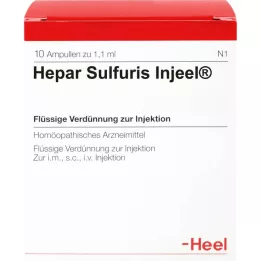 HEPAR SULFURIS INJEEL Ampullen, 10 St
