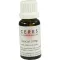 CERES Daucus comp.Tropfen, 20 ml