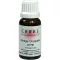 CERES Ginkgo dryopteris comp.Tropfen, 20 ml