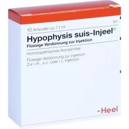 HYPOPHYSIS SUIS Injeel Ampullen, 10 St