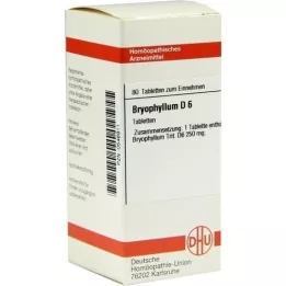 BRYOPHYLLUM D 6 Tabletten, 80 St