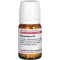 BRYOPHYLLUM D 6 Tabletten, 80 St