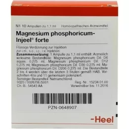 MAGNESIUM PHOSPHORICUM INJEEL forte Ampullen, 10 St