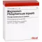 MAGNESIUM PHOSPHORICUM INJEEL forte Ampullen, 10 St