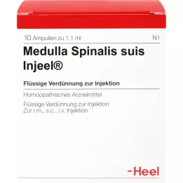 MEDULLA SPINALIS suis Injeel Ampullen, 10 St