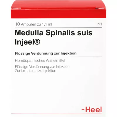 MEDULLA SPINALIS suis Injeel Ampullen, 10 St