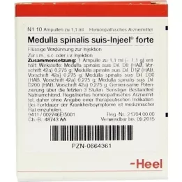 MEDULLA SPINALIS suis Injeel forte Ampullen, 10 St
