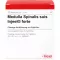 MEDULLA SPINALIS suis Injeel forte Ampullen, 10 St