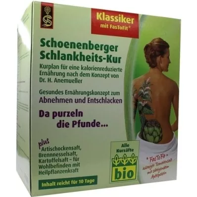 SCHLANKHEITSKUR Klassiker Schoenenberger, 1 P