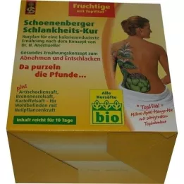 SCHLANKHEITSKUR Fruchtige Schoenenberger, 1 P