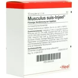 MUSCULUS SUIS Injeel Ampullen, 10 St