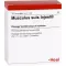 MUSCULUS SUIS Injeel Ampullen, 10 St