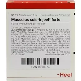 MUSCULUS SUIS Injeel forte Ampullen, 10 St