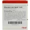 MUSCULUS SUIS Injeel forte Ampullen, 10 St