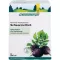 SCHWARZRETTICH Schoenenberger Heilpflanzensäfte, 3X200 ml