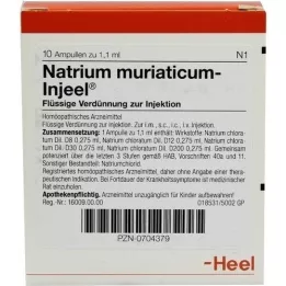 NATRIUM MURIATICUM INJEEL Ampullen, 10 St