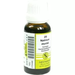 NATRIUM MURIATICUM KOMPLEX Nr.29 Dilution, 20 ml