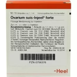 OVARIUM SUIS Injeel forte Ampullen, 10 St