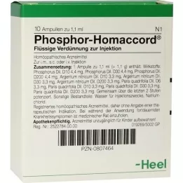 PHOSPHOR HOMACCORD Ampullen, 10 St