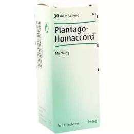 PLANTAGO HOMACCORD Tropfen, 30 ml