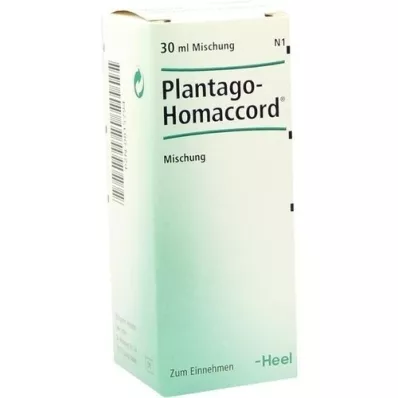 PLANTAGO HOMACCORD Tropfen, 30 ml