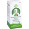HEUSCHNUPFENMITTEL Dreluso Tabletten, 100 St