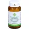 HEUSCHNUPFENMITTEL Dreluso Tabletten, 100 St