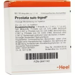PROSTATA SUIS Injeel Ampullen, 10 St