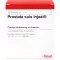 PROSTATA SUIS Injeel Ampullen, 10 St