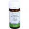 PFLÜGERPLEX Rhododendron 307 H Tabletten, 100 St